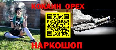крисы Краснознаменск