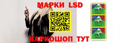 дмт Краснодар