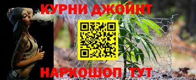 крисы Краснознаменск