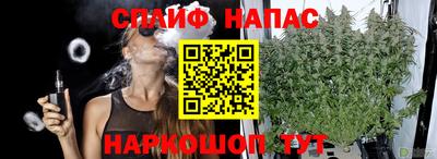 дмт Краснодар