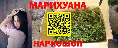 крисы Краснознаменск