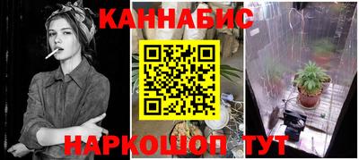 дмт Краснодар