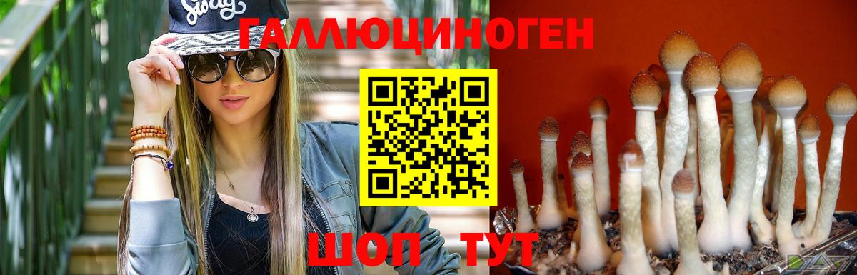 Псилоцибиновые грибы прущие грибы Балашов