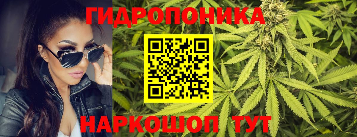 Канабис LSD WEED  Шишки марихуана конопля  Марихуана ГИДРОПОН  Балашов  Вход с VPN 